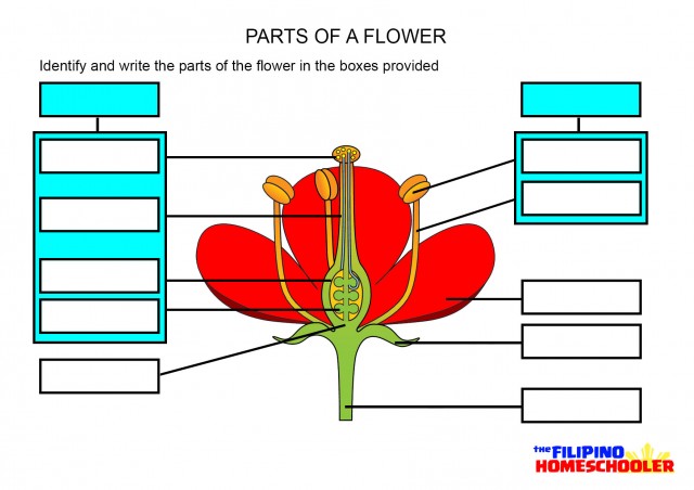 download Learning Theory: