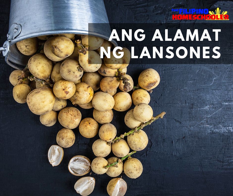 ang-alamat-ng-lansones-the-filipino-homeschooler