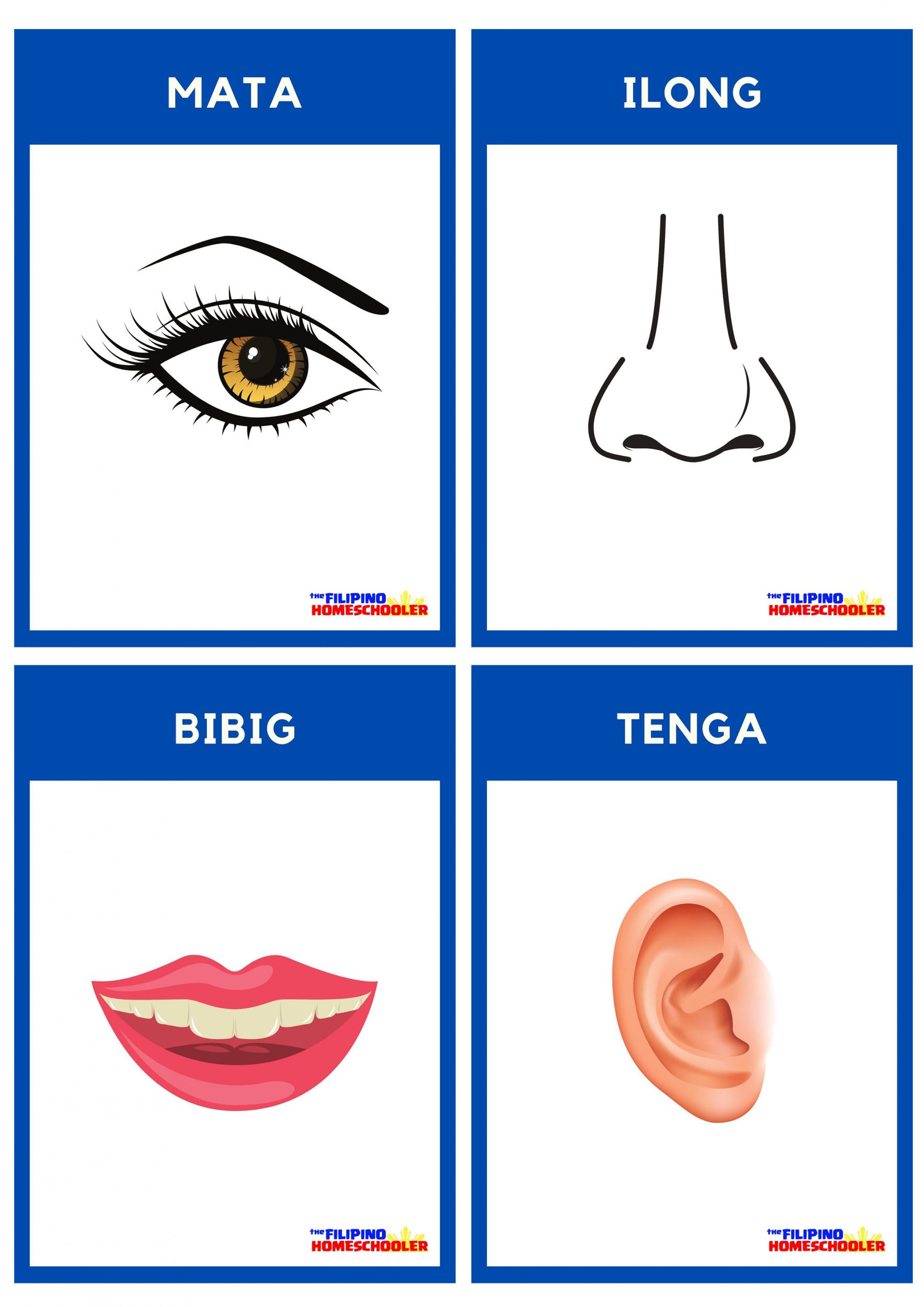 FREE Filipino Flashcards - Body Parts (Bahagi ng Katawan) — The